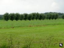 Trage Tocht Woudenberg