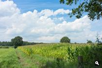 Groene Wissels Groene Wissels