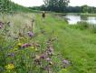 Trage Tocht Lochem-Ruurlo