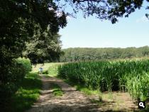 Trage Tocht Lochem-Ruurlo