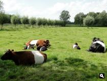 Trage Tocht Lochem-Ruurlo