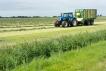 Groene Wissel Berlikum
