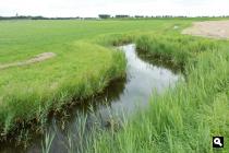 Noorderpolder