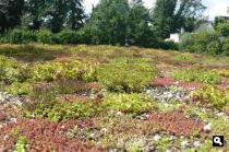 Ecotuin in Boxtel
