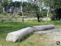 Nieuwe bankjes in de Kennemerduinen