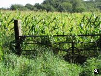Groene Wissel Driebergen-Zeist