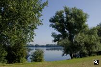 Hurwenense Uiterwaarden