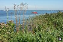 Slotermeer