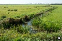 Wijckelerpolder