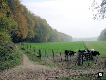 Onderaan de Duivelsberg