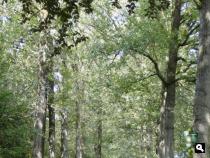 Trage Tocht Engelenburg