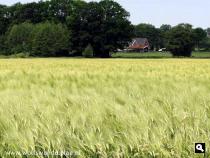 Trage Tocht Winterswijk Corle