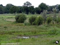 Trage Tocht Winterswijk Corle