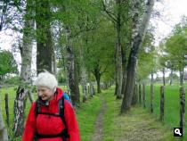 Trage Tocht Wiesel
