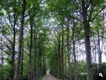 Trage Tocht Driedorp