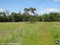 Trage Tocht Driedorp