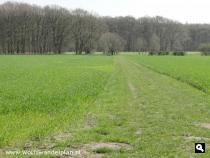 Trage Tocht Garderen