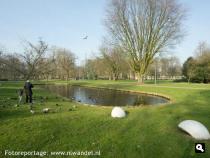 Groene Wissel Dordrecht