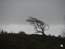 Storm in de duinen