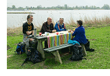 Wandelen in de Alblasserwaard