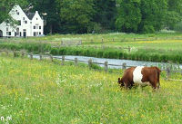 Wandeling van de maand