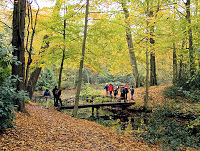 De mooiste herfstwandelingen