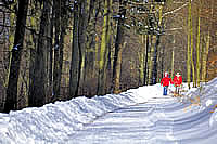 Winterwandeltochten