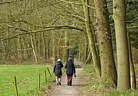 Wandeling van de maand