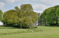 Uitslag Mooiste wandeling 2018