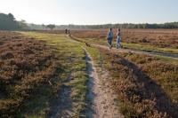 Wandelen in het Gooi