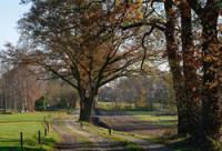 Wandelen in Twente