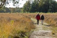 Wandel door het Drentse Landschap