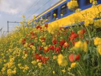 Stationswandelingen