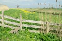 Wandelen in Zuid-Holland