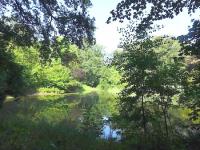 Wandelen buiten de binnenstad van Zwolle