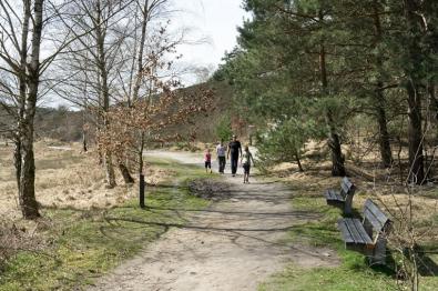 Wandelen in cijfers