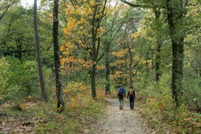 Wandeling van de maand