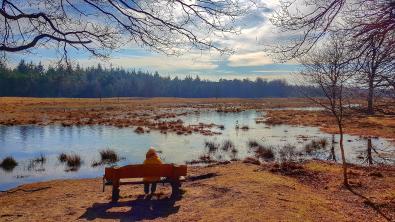 Wandeling van de maand