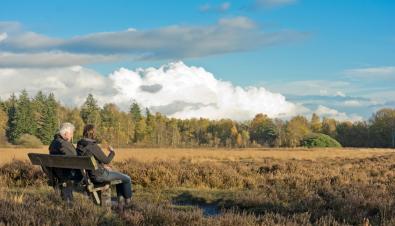 Wandeling van de maand