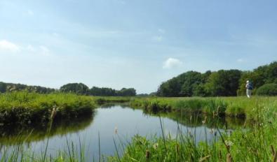 Wandelen in het Reestdal