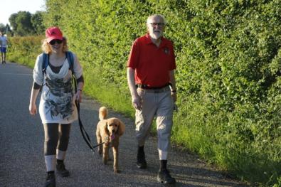 Vierdaagsen in Nederland