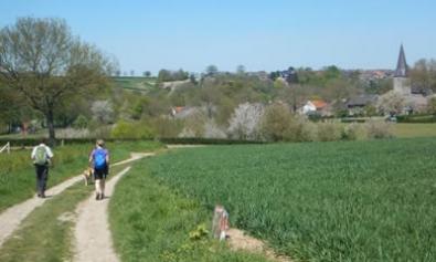 Wandeling van de maand