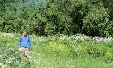 Wandelen in Delfland