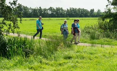 50 Mooiste Groene Wissels