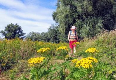 Wandeling van de maand