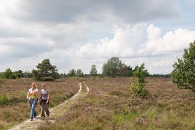 Veel mooie wandelingen