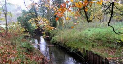 Wandeling van de maand