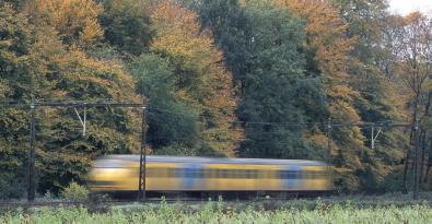 Met stationswandelingen het bos in