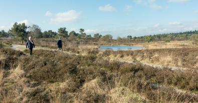 Wandeling van de maand