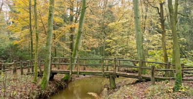 Langs Brabantse beken